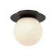 Flush mount ceiling light with matte black disc canopy and large frosted globe shade, product photo
