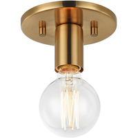Kasa 1-Light Ceiling Mount