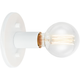 Kasa 1-Light Ceiling Mount
