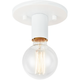 Kasa 1-Light Ceiling Mount