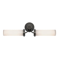 Wynwood 23" 2-Light Wall/Vanity