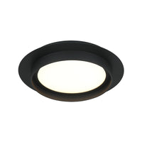 Iris 1-Light Ceiling Mount