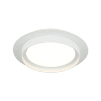Iris 1-Light Ceiling Mount