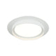 Iris 1-Light Ceiling Mount