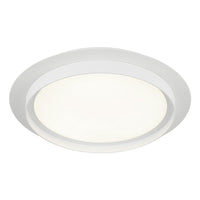 Iris 1-Light Ceiling Mount
