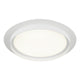 Iris 1-Light Ceiling Mount