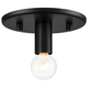 Kasa 1-Light Ceiling Mount