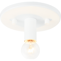 Kasa 1-Light Ceiling Mount