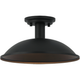 Farmley 1-Light 12" Ceiling Mount