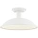 Farmley 1-Light 12" Ceiling Mount