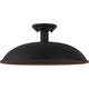 Farmley 1-Light 16" Ceiling Mount