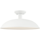 Farmley 1-Light 16" Ceiling Mount