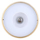 Eve 1-Light Semi Flush