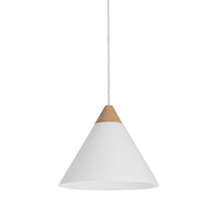 Daya 9.75" Length Ceiling Fixture