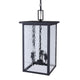 Shana 3-Light Outdoor Pendant