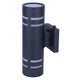 Braxton 2-Light Outdoor Lantern