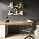 Surf Wall Shelves (Set of 2)