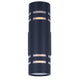 Braxton 2-Light Outdoor Lantern