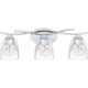 Ansley 3-Light Bath Light