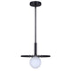 Payton 1-Light Pendant
