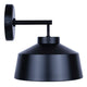Orillia 1-Light Outdoor Lantern
