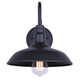 Hattie 1-Light Outdoor Lantern