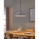 Alsager 19" 1-Light Pendant