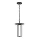Florin 15" LED Outdoor Pendant