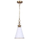 Ollie 1-Light Pendant