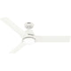 Aeronaut Outdoor Smart Fan with LED Light 52"