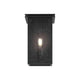 Arkville 1-Light Outdoor Wall