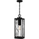 Balchier Outdoor Pendant