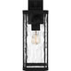 Balchier Large Outdoor Wall Lantern