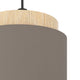 Albariza 1-Light Pendant