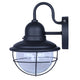 Alaric 1-Light Outdoor Lantern
