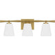 Brindley 3-Light Bath Light