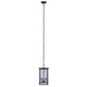 Shana 3-Light Outdoor Pendant
