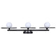 Payton 3-Light Vanity