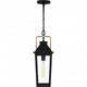 Buckley Mini Pendant