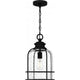 Bowles 1-Light Mini Pendant