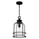 Bowles 1-Light Mini Pendant
