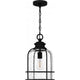 Bowles 1-Light Outdoor Pendant