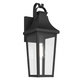Cleary 20" 1-Light Outdoor Wall Light