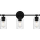 Caputo 3-Light Bath Light