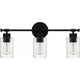 Caputo 3-Light Bath Light