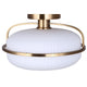 Eve 1-Light Semi Flush