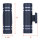 Braxton 2-Light Outdoor Lantern