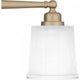 Cecilia 3-Light Bath Light