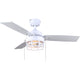 Attley 42" Ceiling Fan