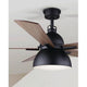 Lyric 52" Ceiling Fan